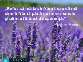 CITATUL ZILEI. Refuz să mă las înfrântă sau să mă simt înfrântă până nu mi s-a smuls şi ultima fărâmă de speranţă