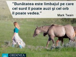 CITATUL ZILEI. Bunătatea este limbajul pe care cel surd îl poate auzi și cel orb îl poate vedea