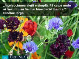 CITATUL ZILEI. Înțelepciunea vieții e simplă: Fă ca pe unde ai trecut tu să fie mai bine decât înainte