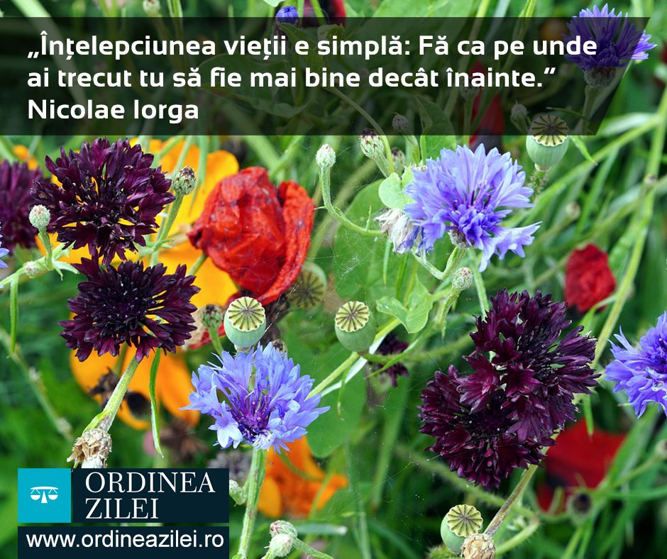 CITATUL ZILEI. Înțelepciunea vieții e simplă: Fă ca pe unde ai trecut tu să fie mai bine decât înainte