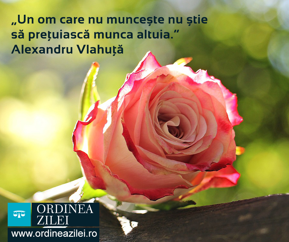 CITATUL ZILEI. Un om care nu muncește nu știe să prețuiască munca altuia