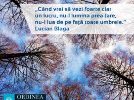 CITATUL ZILEI. Când vrei să vezi foarte clar un lucru, nu-l lumina prea tare, nu-i lua de pe față toate umbrele