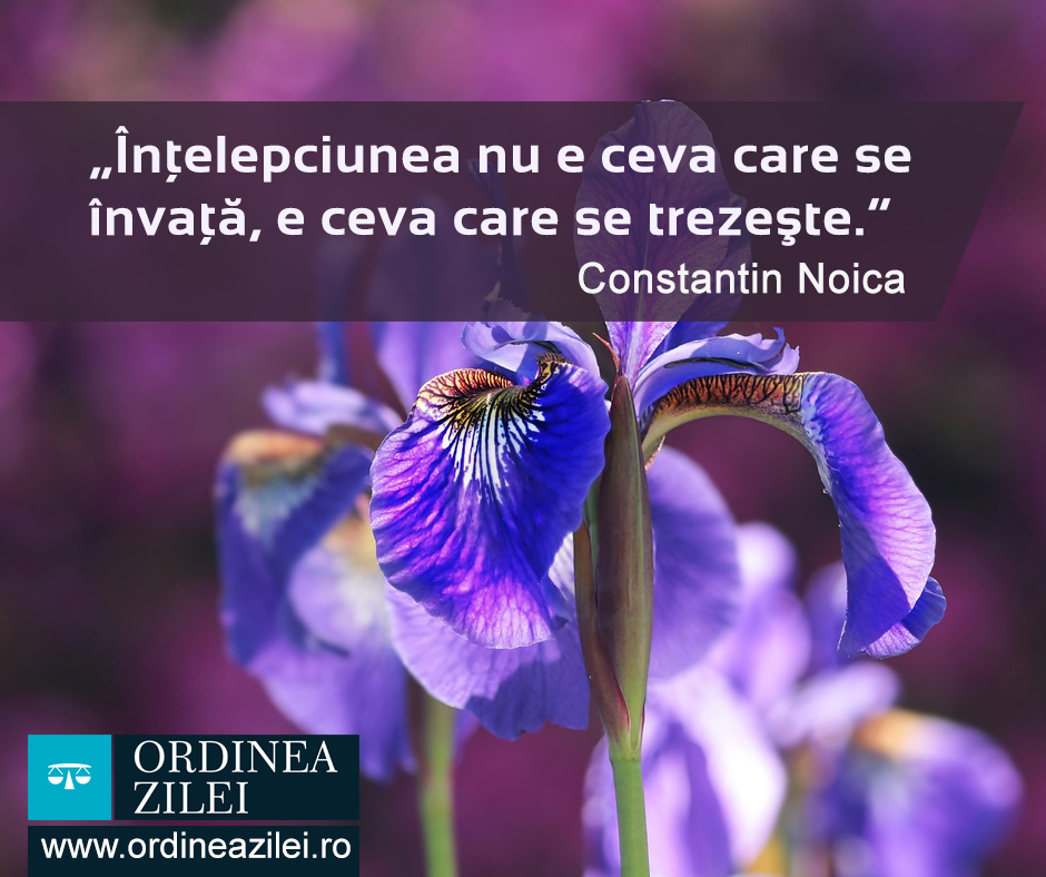 CITATUL ZILEI. Înţelepciunea nu e ceva care se învaţă, e ceva care se trezeşte
