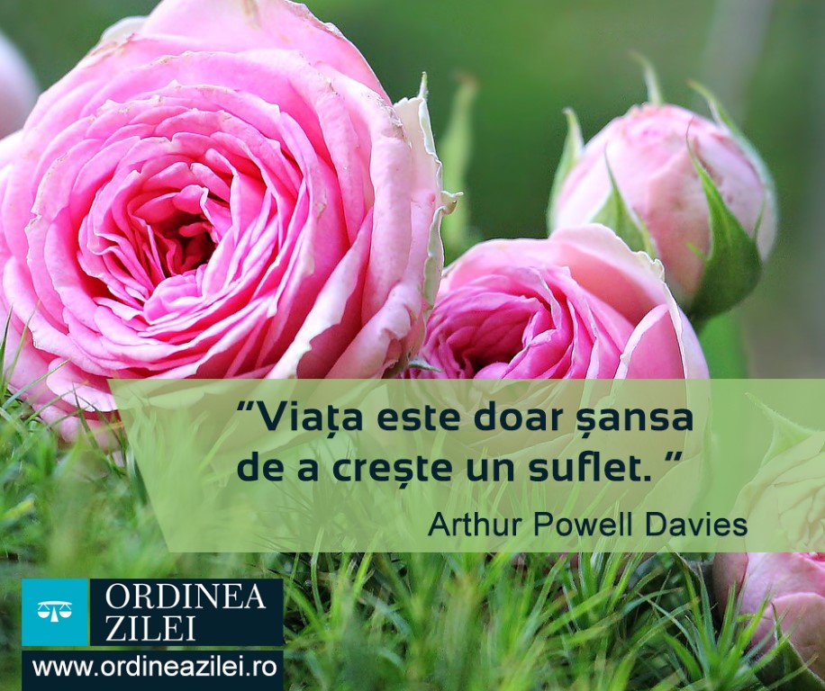 CITATUL ZILEI. Viața este doar șansa de a crește un suflet