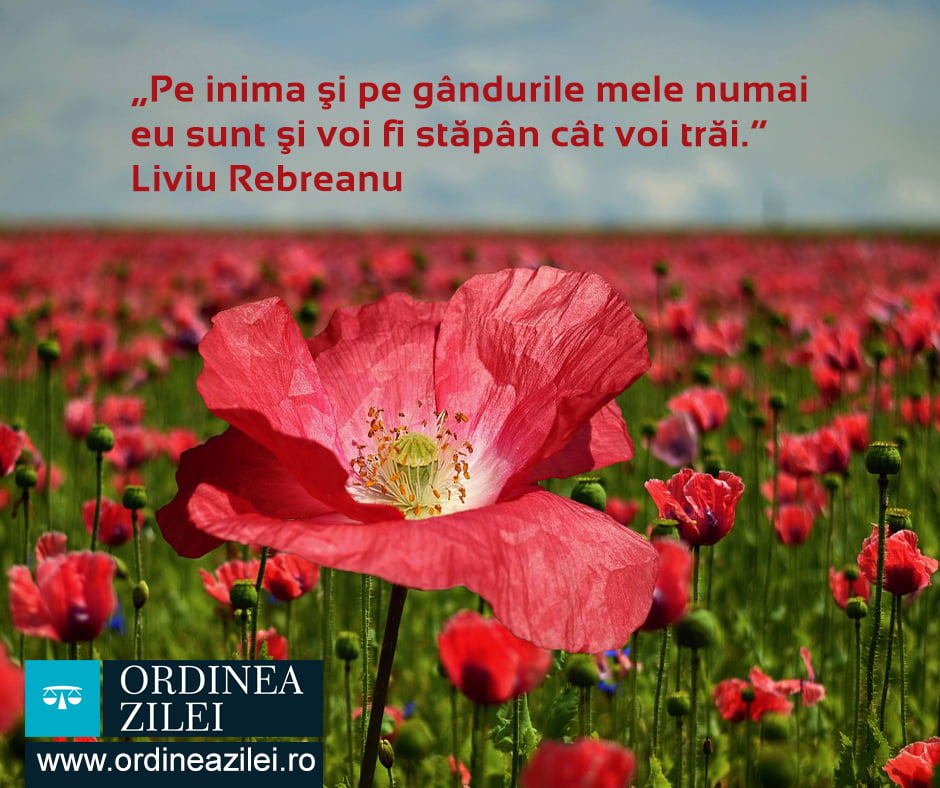 CITATUL ZILEI. Pe inima şi pe gândurile mele numai eu sunt şi voi fi stăpân cât voi trăi