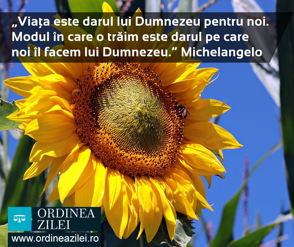 CITATUL ZILEI. Viaţa este darul lui Dumnezeu pentru noi. Modul în care o trăim este darul pe care noi îl facem lui Dumnezeu