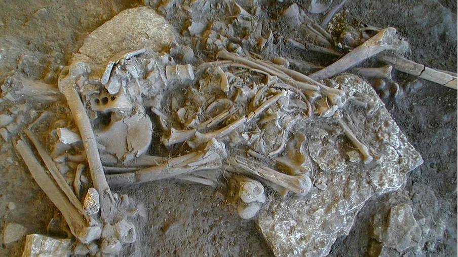 Un schelet complet găsit în mormântul pasajului Frälsegården