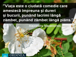 CITATUL ZILEI. Viața este o ciudată comedie care amestecă împreună și dureri și bucurii, punând lacrimi lângă zâmbet, punând zâmbet lângă plâns