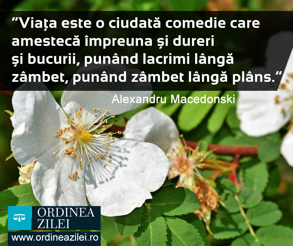 CITATUL ZILEI. Viața este o ciudată comedie care amestecă împreună și dureri și bucurii, punând lacrimi lângă zâmbet, punând zâmbet lângă plâns