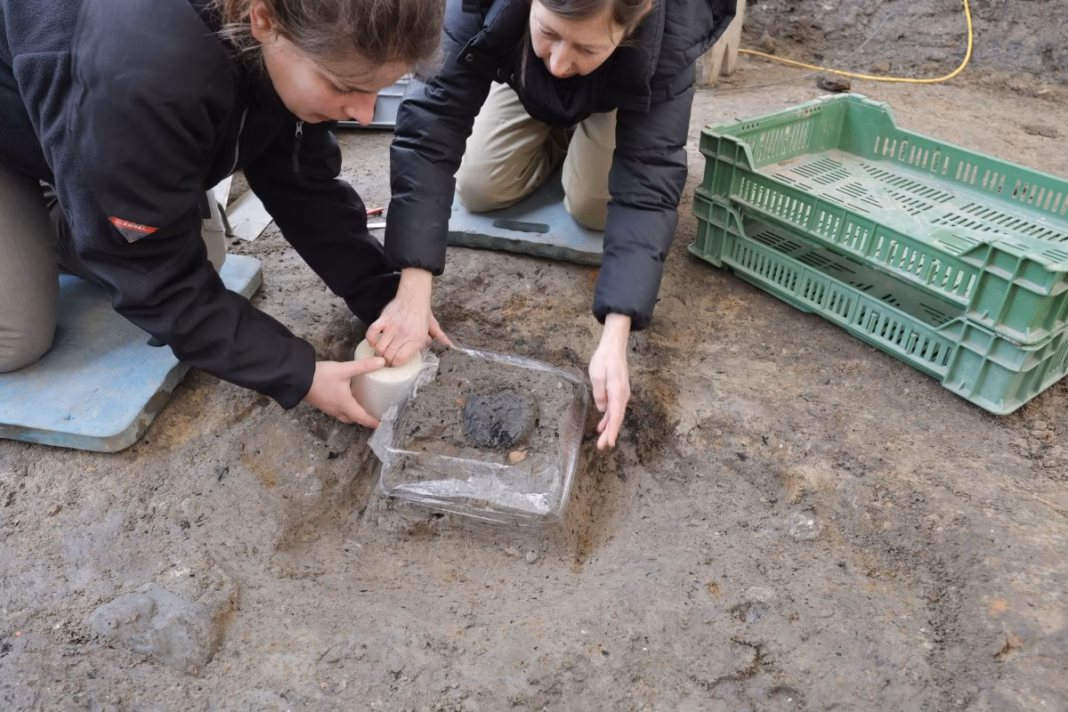 Cercetătorii manipulează bucata de pâine diformă cu extremă grijă