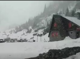 Ninge la munte
