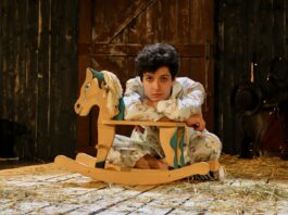 Tudor Cucu-Dumitrescu